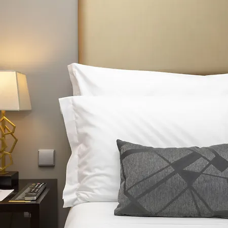 チサール ホテル 4*